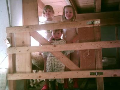 kinder im stall